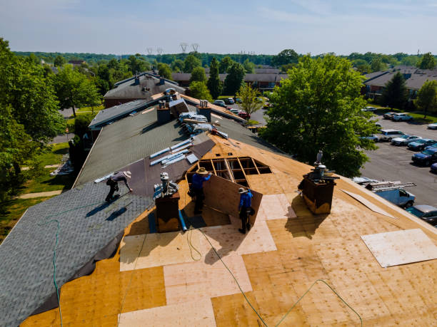 Best Flat Roof Repair Services  in Three Way, TN